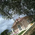 Le Mammole