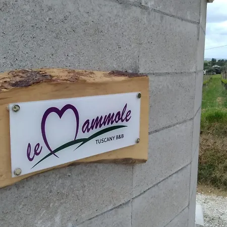 Le Mammole Bed & Breakfast San Miniato