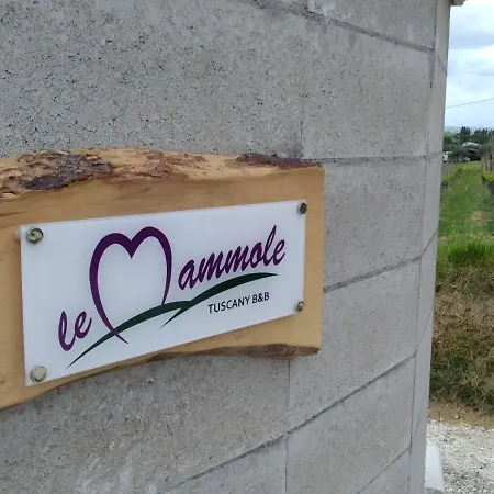 Le Mammole Bed & Breakfast San Miniato